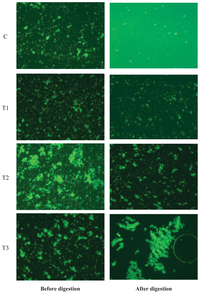 Ijms 14 16333f1 200