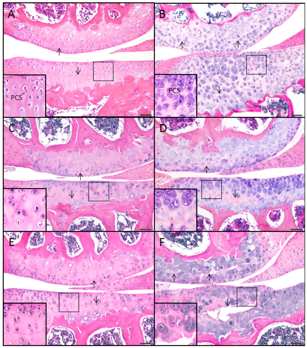 Ijms 14 16515f1 1024