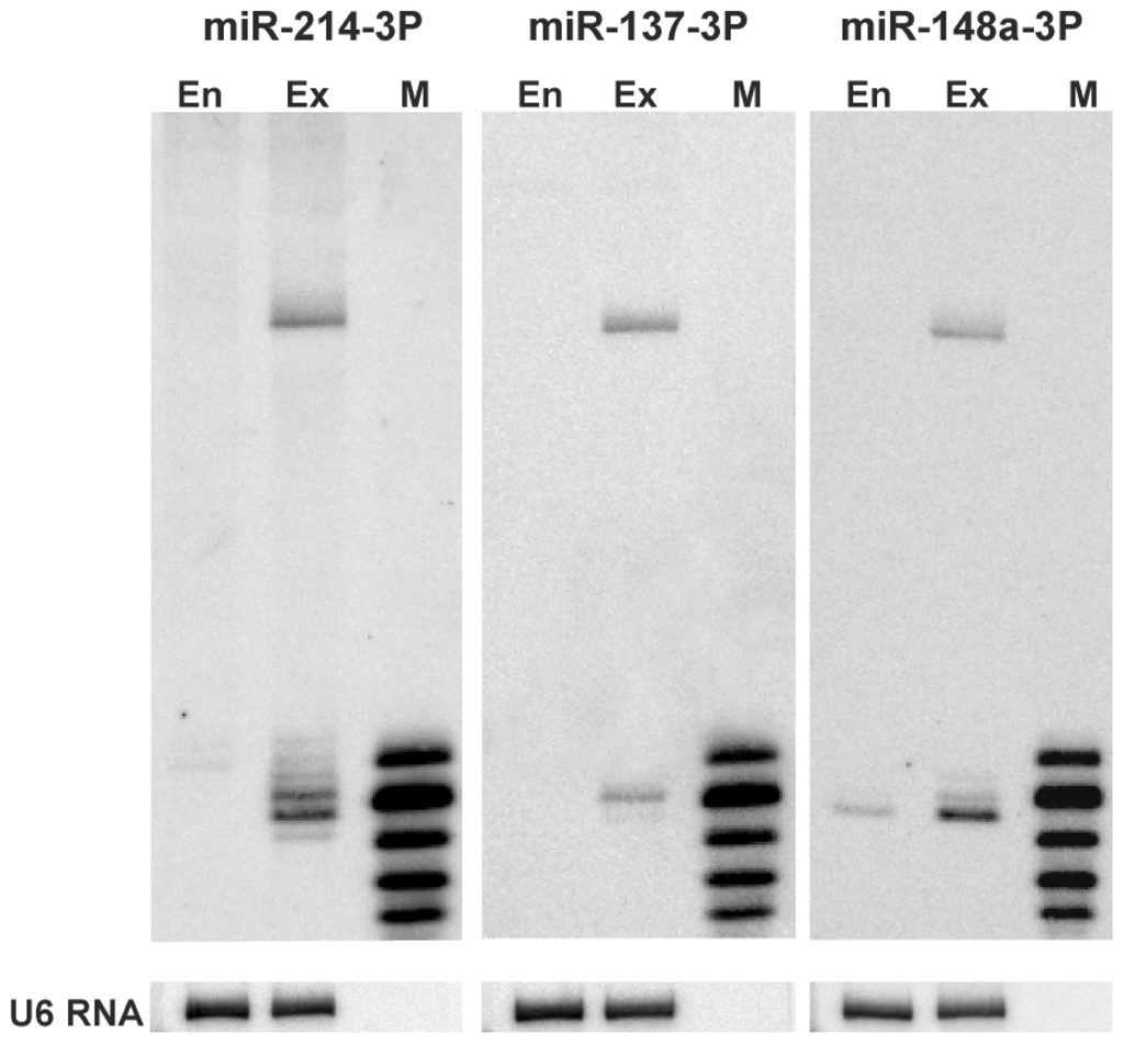 Ijms 14 16999f2 1024