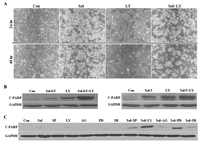 Ijms 14 17304f4 200