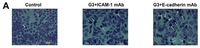 Ijms 14 18024f2a 200