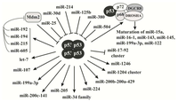 Ijms 14 18319f2 200