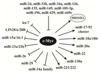 Ijms 14 18319f3 200
