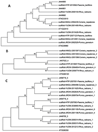 Ijms 14 18502f2 200