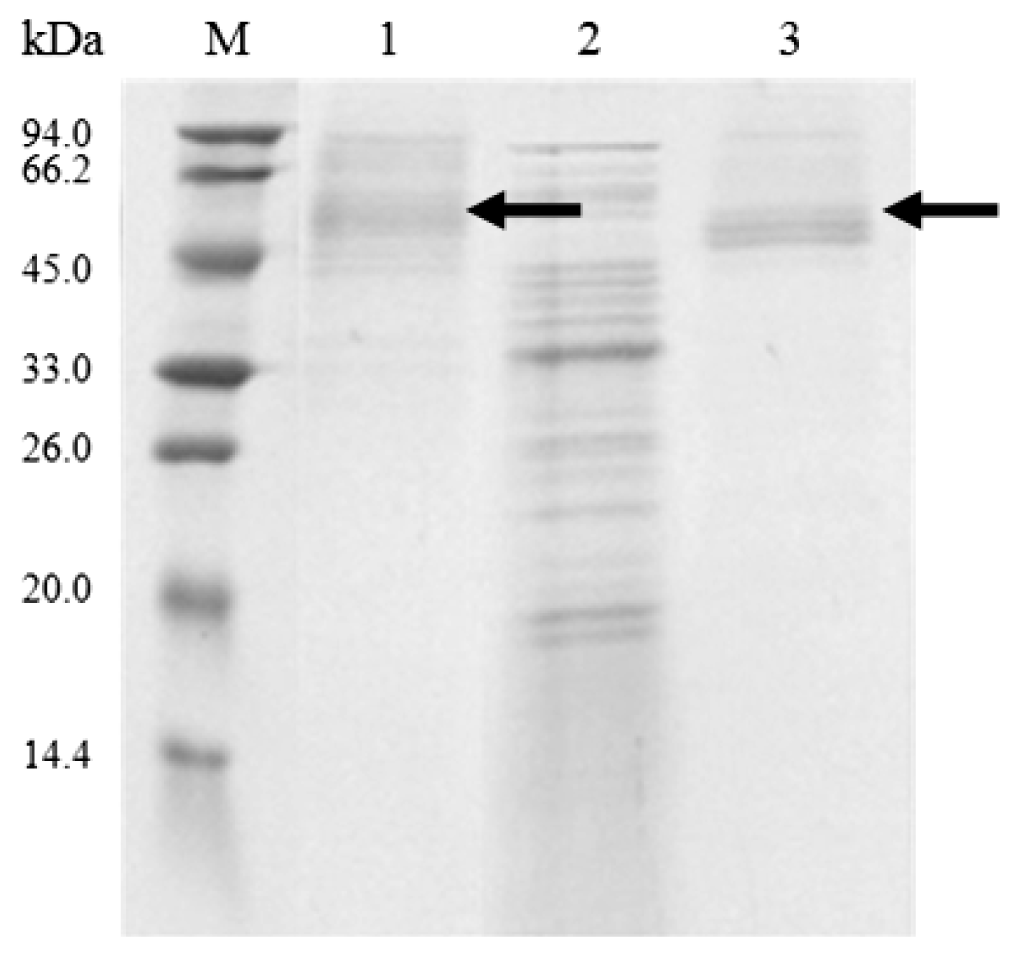 Ijms 14 18629f5 1024