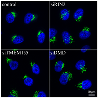 Ijms 14 18670f1 200