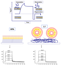 Ijms 14 18758f2 200