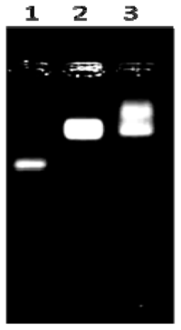 Ijms 14 19146f2 200