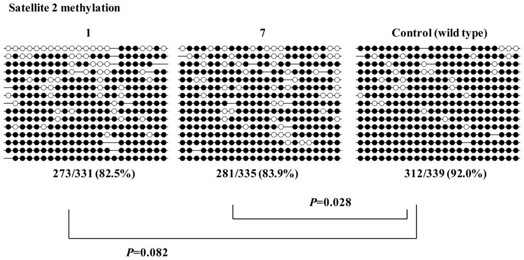 Ijms 14 19774f3 1024