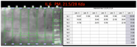 Ijms 14 19831f9a 200