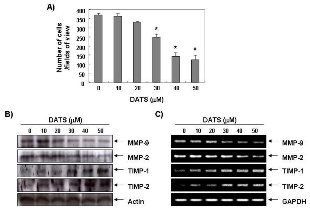 Ijms 14 19911f2 1024