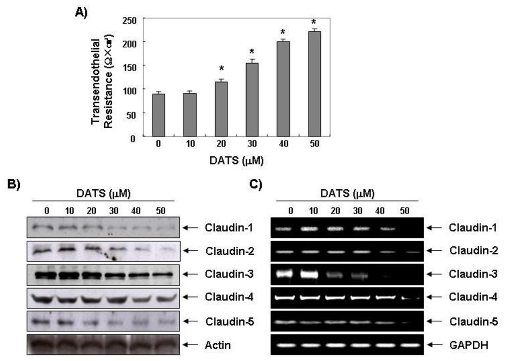Ijms 14 19911f4 1024