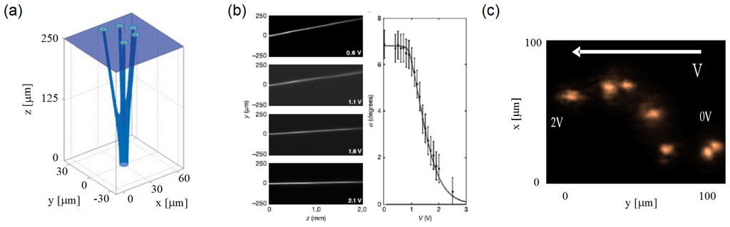 Ijms 14 19932f5 1024
