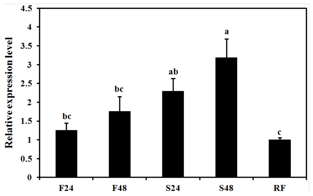 Ijms 14 20048f7 1024