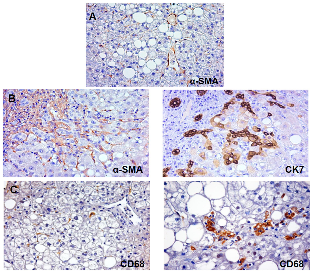 Ijms 14 20112f1 1024