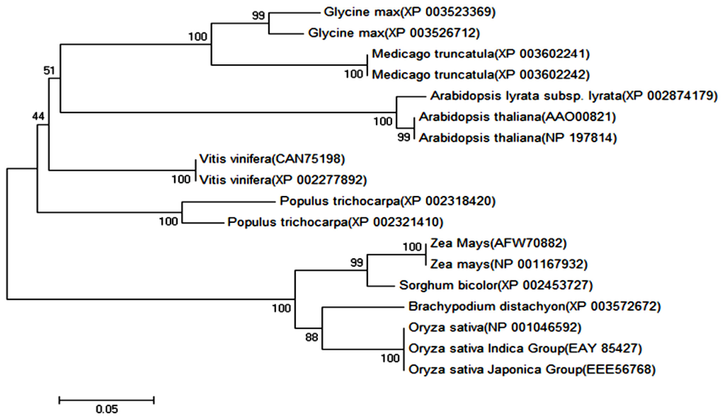 Ijms 14 20204f2 1024