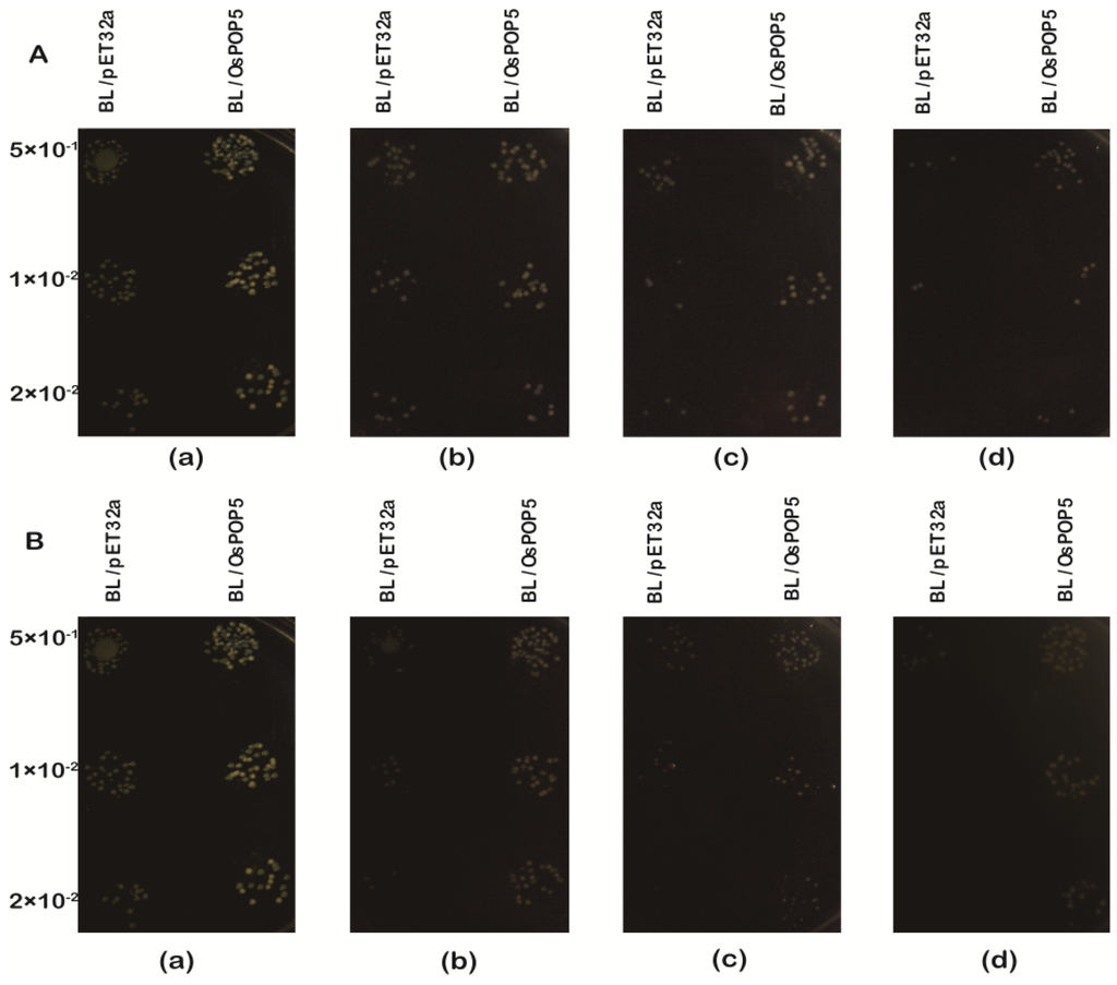 Ijms 14 20204f6a 1024