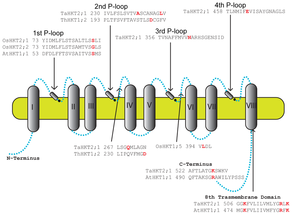 Ijms 14 20359f2 1024