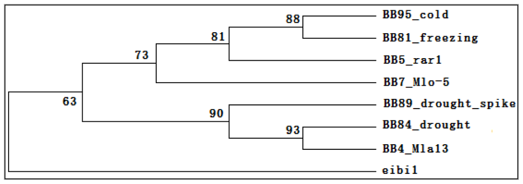 Ijms 14 20478f2 1024