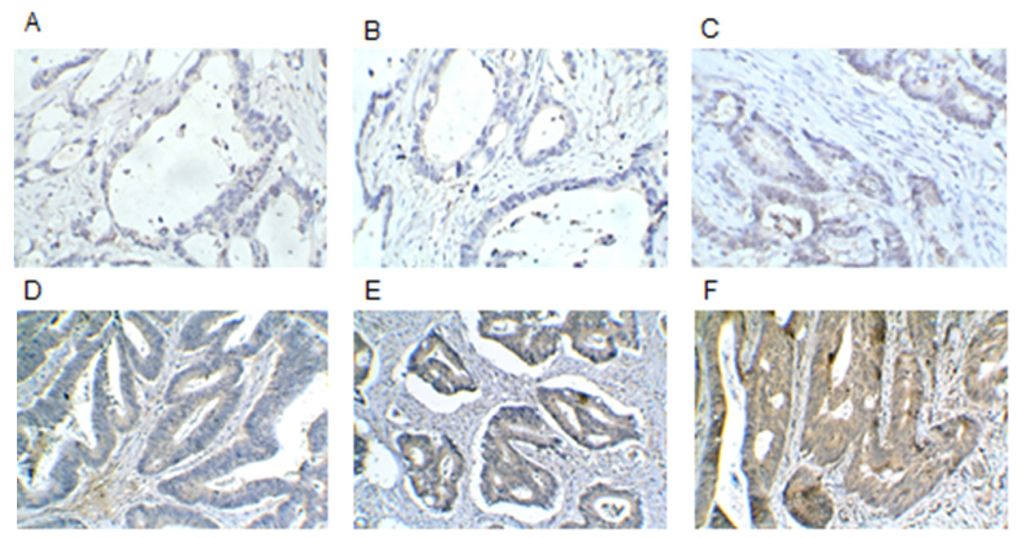 Ijms 14 20492f1 1024