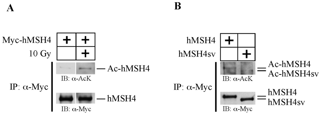 Ijms 14 20966f1 1024