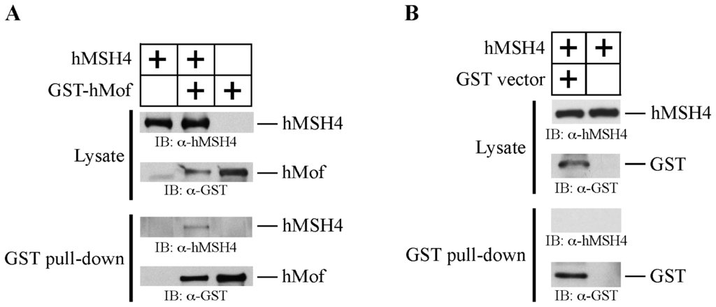 Ijms 14 20966f2a 1024