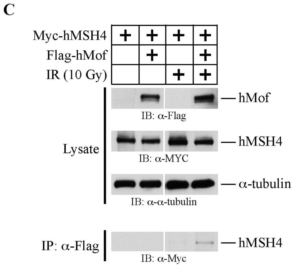 Ijms 14 20966f2b 1024
