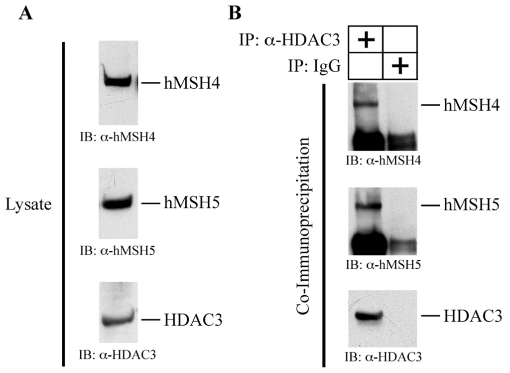 Ijms 14 20966f5 1024