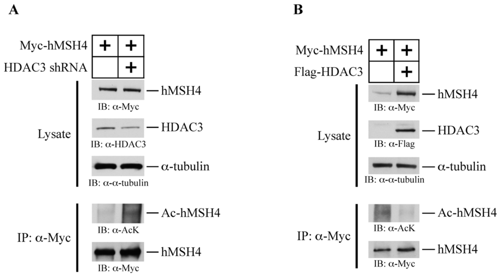 Ijms 14 20966f6 1024