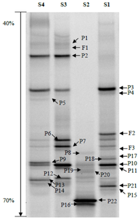 Ijms 14 21006f1 200