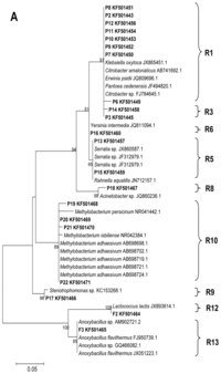 Ijms 14 21006f2a 200