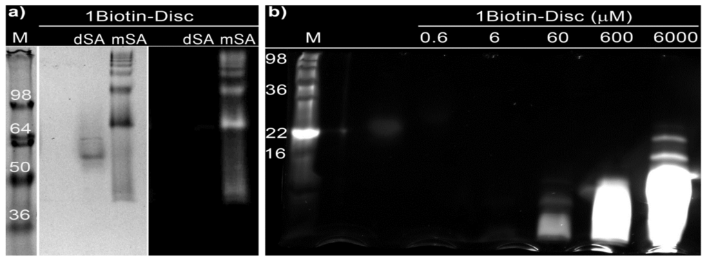 Ijms 14 21189f3 1024