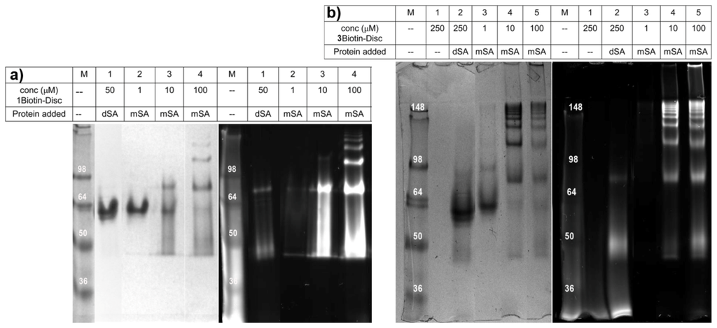 Ijms 14 21189f4 1024