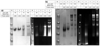 Ijms 14 21189f4 200