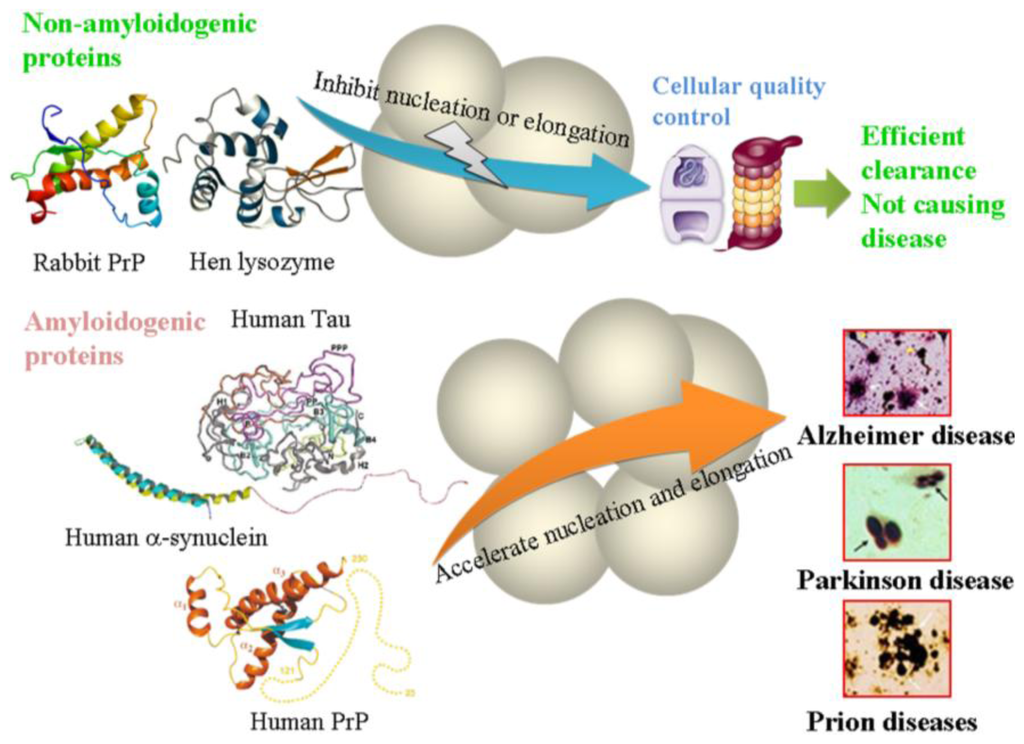 download molecular