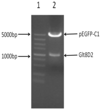 Ijms 14 21435f2 200