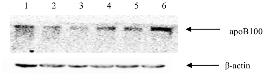Ijms 14 21435f6 1024