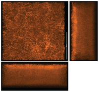 Ijms 14 21660f1 200