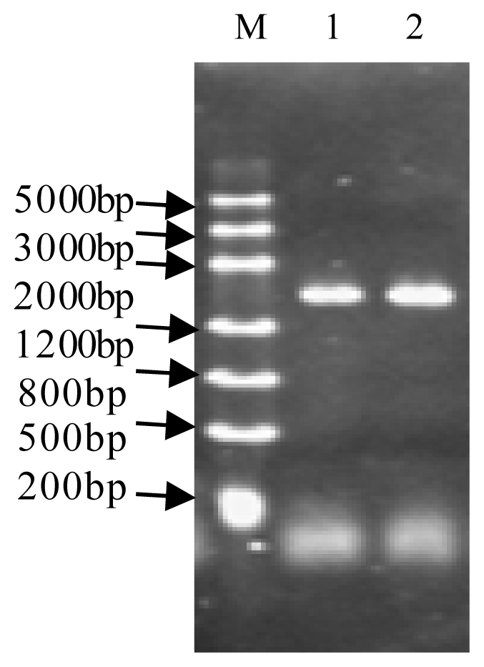 Ijms 14 22082f1 1024
