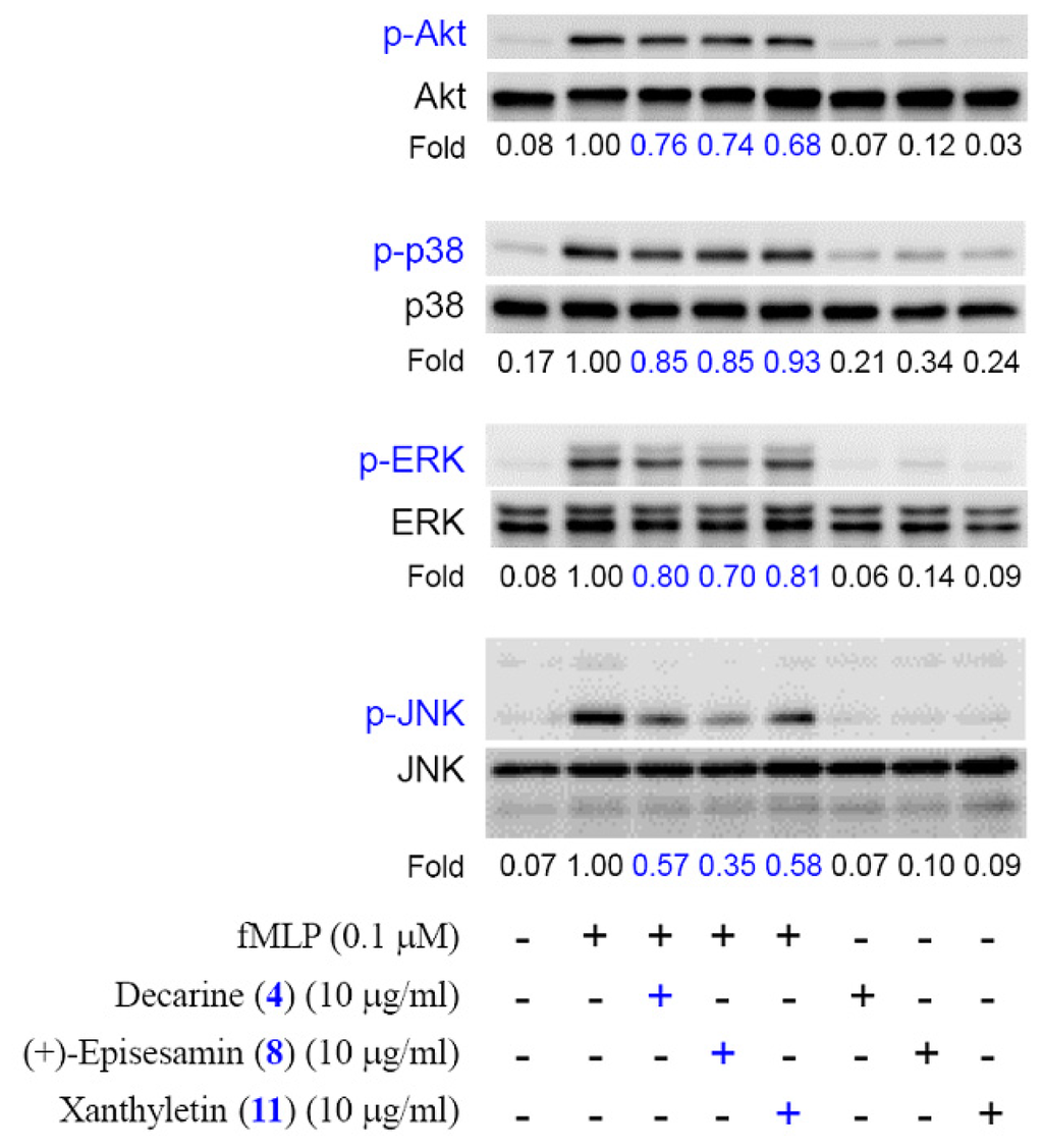 Ijms 14 22395f5 1024