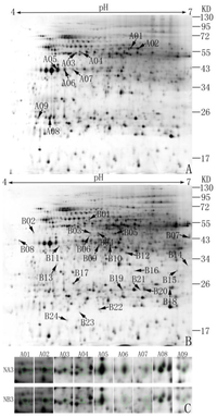 Ijms 14 22982f1 200