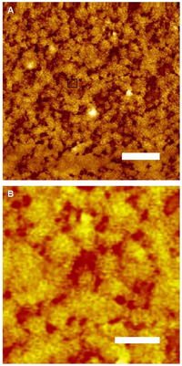 Ijms 14 23842f2 200