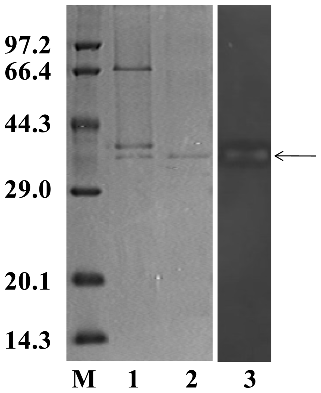 Ijms 14 24592f3 1024