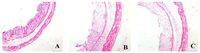 Ijms 15 00015f1a 200