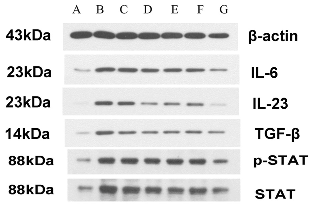Ijms 15 00015f5 1024