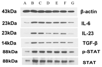 Ijms 15 00015f5 200