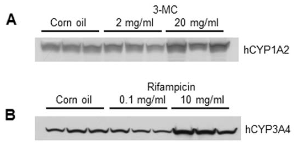 Ijms 15 00058f2 1024
