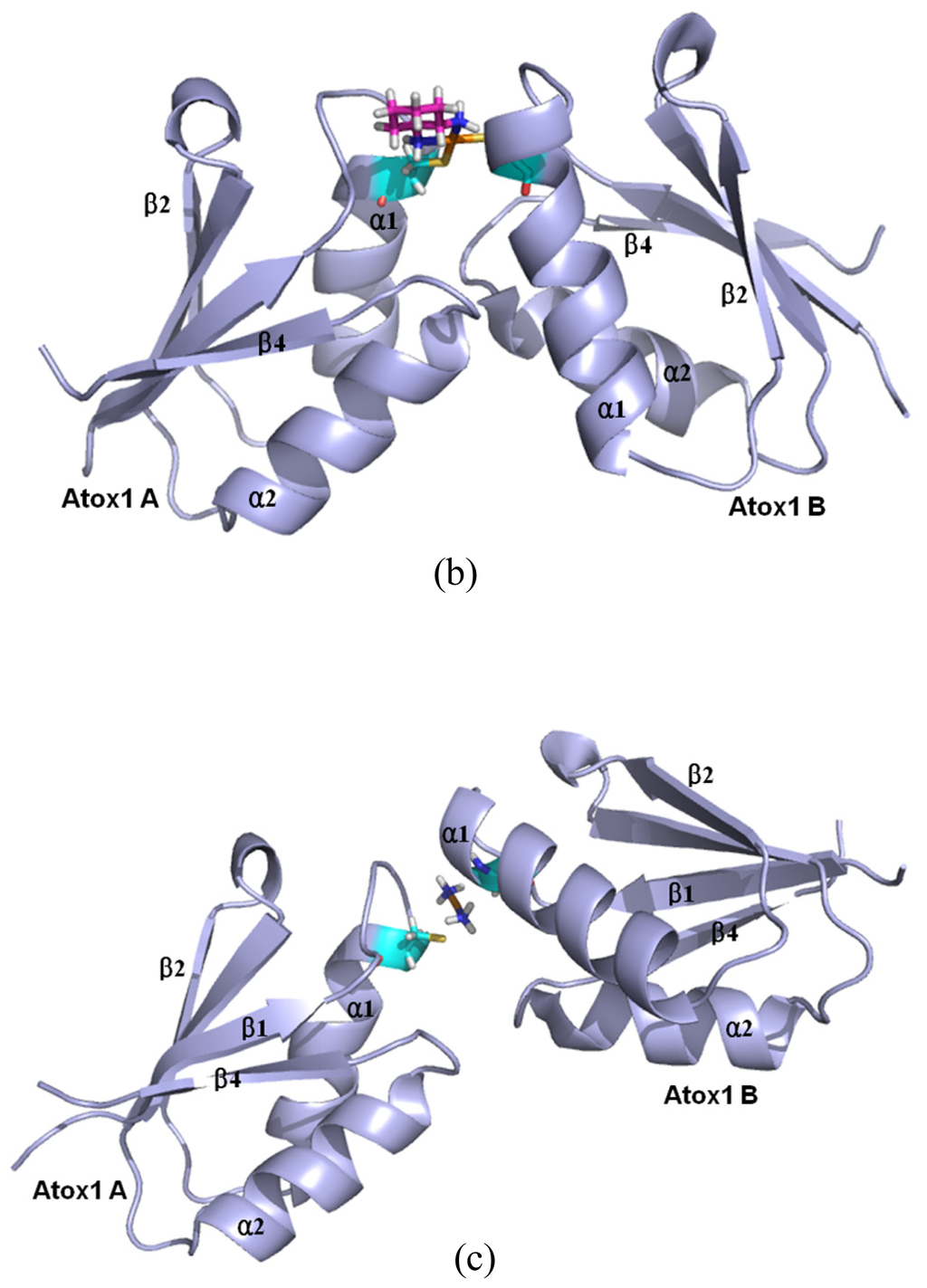 download who classification of