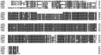 Ijms 15 00171f1 200