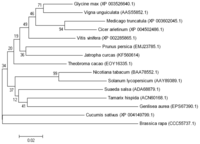 Ijms 15 00171f2 200